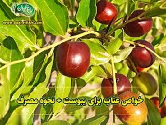 مزایای عناب